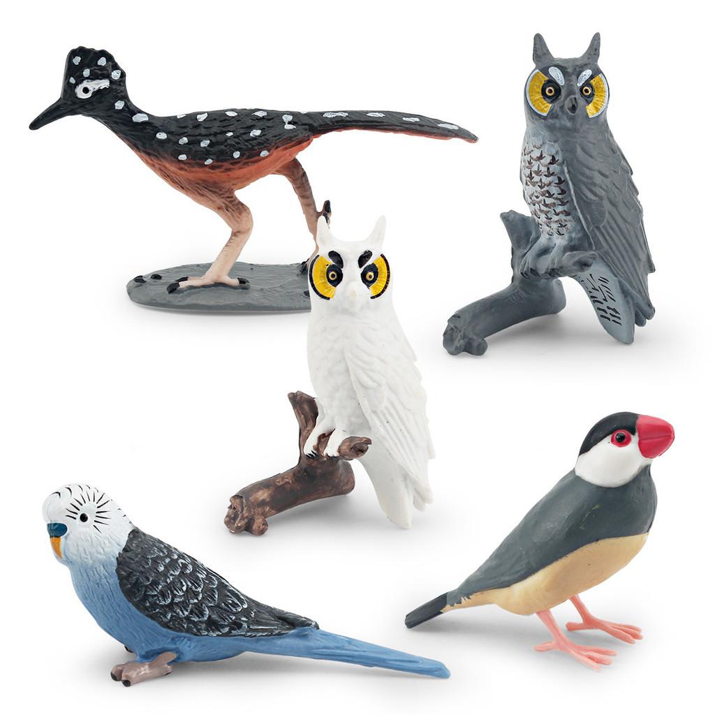 Exquisite Realistic Bird Models In Pvc Material Showcasing Colorful Parrots Owls And Songbirds