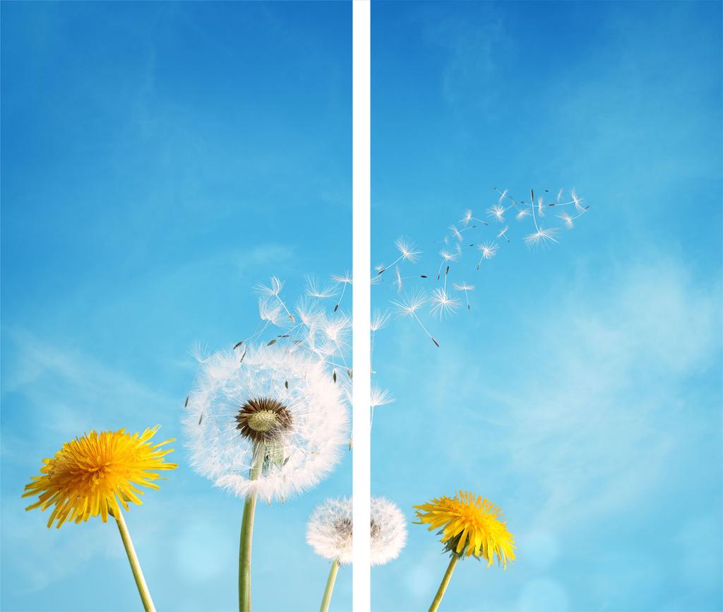 GLASS CUTTING BOARD 2x 30x52 FLOWERS