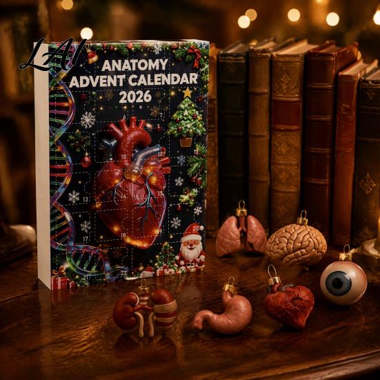Medical Student Gift Anatomy Advent Calendars 2026 24 Days Organs Ornaments Christmas Countdown Calendar 2D Pendant Decoration Acrylic Human