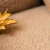 Home Decoration Sofa Cushion Winter Thick Plush Sofa Covers Lamb Wool Anti Slip Sofa Protective Blanket Sofa Dust Cover Towel