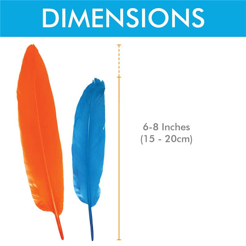 Harte Stange Natürliche Gänsefedern Für Basteln Federn 6-8 Zoll/15-20 cm Schmuck Ente Fasan Feder Hochzeit Heimdekoration