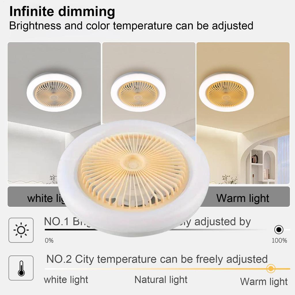 2 In 1 Ceiling Fan Lamps E27 Socket with Remote Control Modern Ceiling Fan Low Profile Ceiling Fan for Living Room Bedroom Study