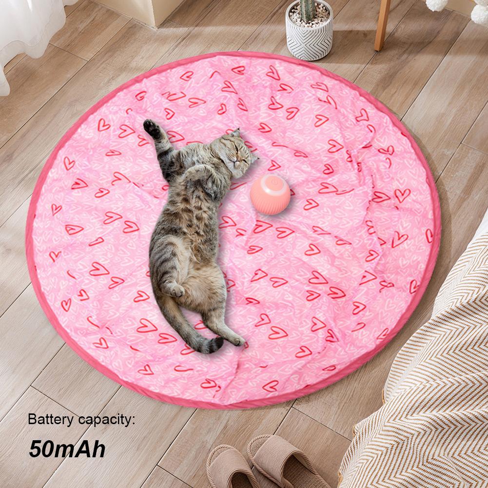 2 In 1 Simulated Cat Hunting Toy USB Charging Concealed Motion Cat Toy Interactive Cat Chasing Toy for Cat Boredom Relief