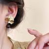 Retro Maillard Acrylic Flowers Stud Earrings for Women Girls Elegant Coffee Color Flower Dangle Earrings Trendy Jewelry Gifts