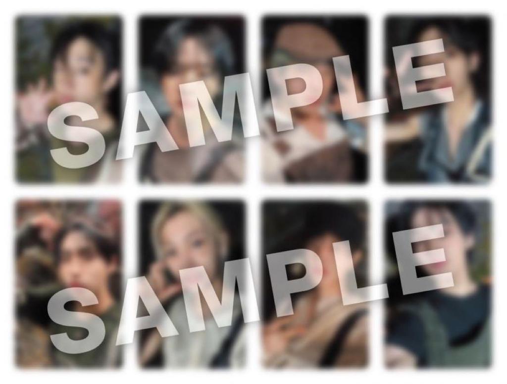 [USED] Stray Kids Seungmin Photo Card GIANT