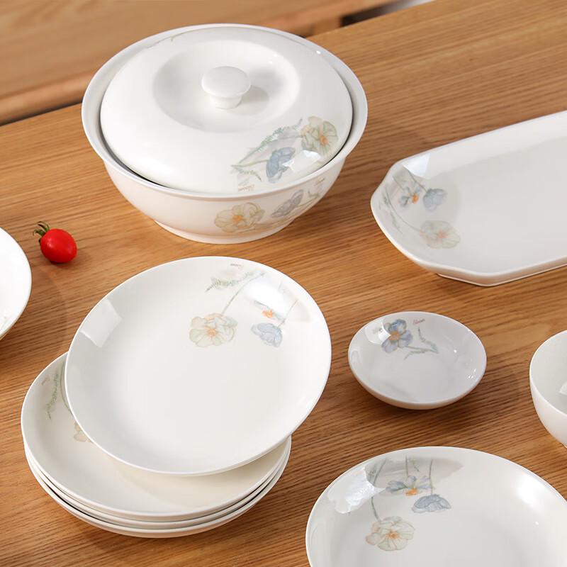 Jieyajie Ceramic Dinnerware Gift Set