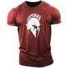 Retro Spartan men's T-shirt, 3D printed short sleeved top, oversized fashionable oversized fitness and sports men's clothing