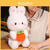 Doll Rabbit Plush Birthday Gift Rabbit Toy Persimmon Luck Decoration Animal