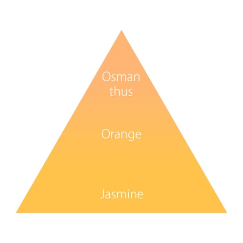 2024 Ohana Mahalo Fragrance Hand Cream Puanalaki Hoola 50g