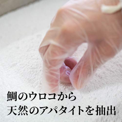 RUKEN Kirarun Toothpaste Powder Type, Mint, 55g (x 1)