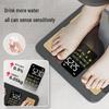 Wolai Smart Color Screen Body Fat Scale (CN version)