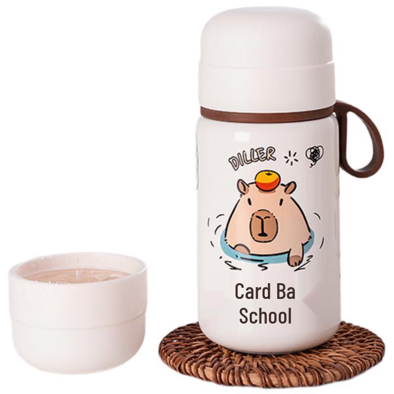 Diller 2025 Compact Portable Stainless Steel Water Bottle