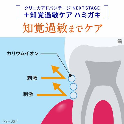 Clinica Advantage NEXT STAGE Toothpaste, Relax Mint, 90g (Highly Concentrated Fluoride 1450ppm)