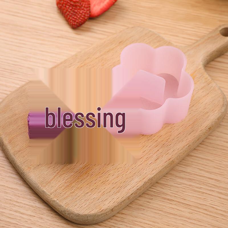 DIY Sushi & Rice Ball Bento Molds