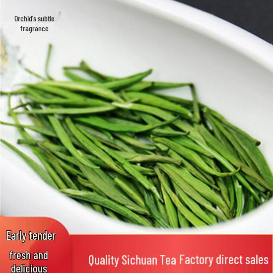 Emeishan Cloud & Mist Pre-Rain Green Tea: Tender Buds, Light Fragrance, Bamboo Leaf, Green Needle & Sparrow Tongue