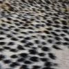 90x110cm Leopard Print Rug Faux Cowhide Skin Carpet Animal Printed Furry Area Rug for Living Room Decor