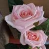 Simulation Moisturizing Feel Rose Living Room Home Decoration Flower