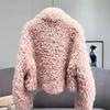 Autumn and Winter New Imitation Lamb Wool Short Fur Coat Women's Thickened Fashion Imitation Wool Roll Coat