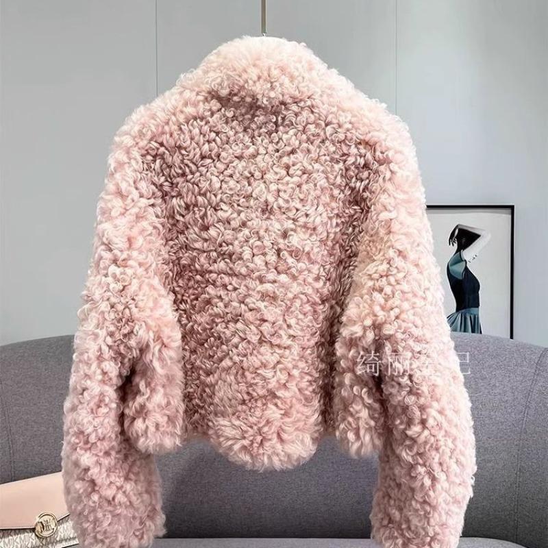 Autumn and Winter New Imitation Lamb Wool Short Fur Coat Women's Thickened Fashion Imitation Wool Roll Coat