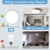 Modern LED Ceiling Light Wooden Round Macaron Chandelier for Bedroom Living Room Dining Hall Hallway Home Decor