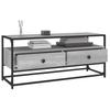 TV Cabinet Gray Sonoma 100x35x45 cm Particleboard