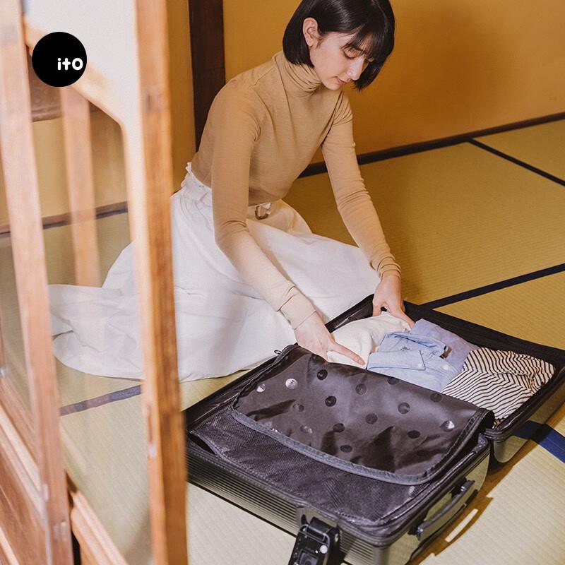 ITOITO PISTACHIO STRIPED Luggage