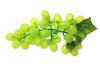 Speed mao Realistic Grape Bunch Food Sample Model Set of 3