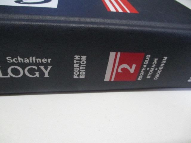 [USED] Hospital Disposal Book Gastroenterology 2 Fourth Foreign Book