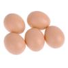 5pcs Chicken Laying Plastic Fake Brood-Eggs For-Poultry Hens For Broody Chooks