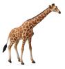 Collecta. Reticulated Giraffe