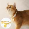 Cat Small Dog Bell Necklace