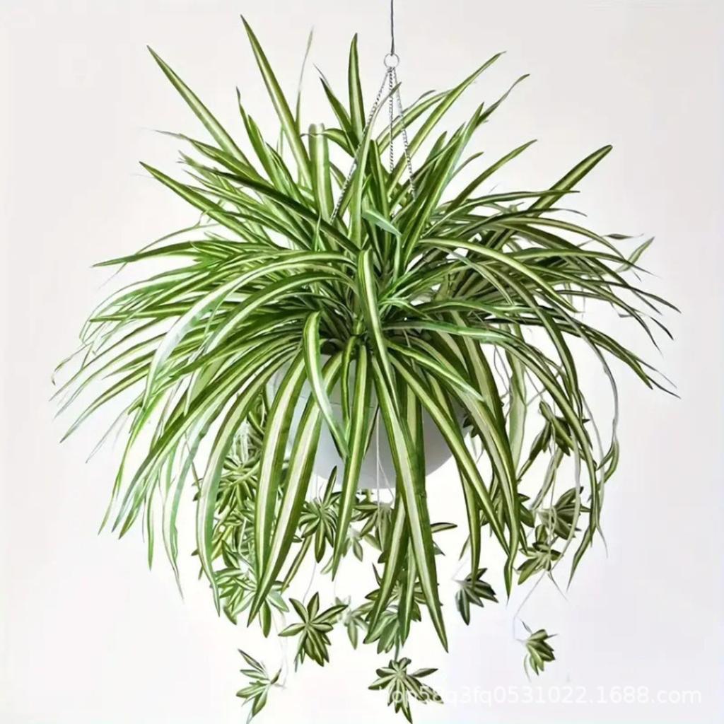 Simulated 5-forked Gold-edged Plant Plant Wall Accessories Bundle