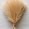 24PCS Brown Faux Pampas Grass White, 56cm Short Artificial Pompous Grass Floral Fake Pompas Grass Branches Vase Filler