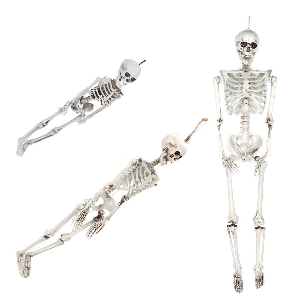 Halloween Resin Full Body Skeletons with Movable Joints for Home Costume Party Decoration Props