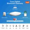 GW16 Smart Zigbee Bluetooth-compatible Dual Mode Wireless Gateway for Smart Home Device Linkage Remote APP Control