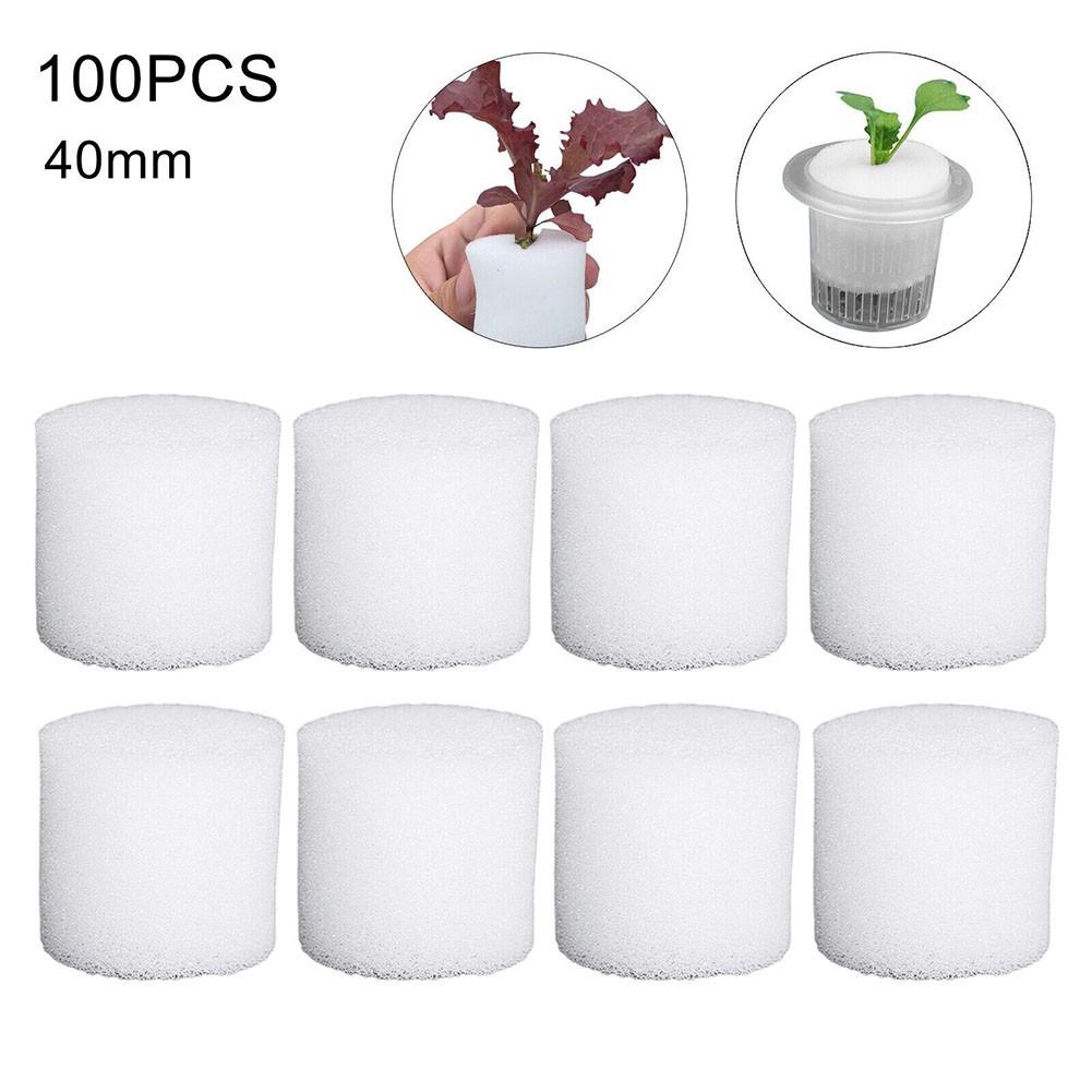

White Hydroponics Sponge 30mm*32mm Cultivation Flowerpot 30mmx40mm