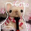 Squishy Puppy Animal Squeeze Toy Kids Soft Pinch Bulldog Pug Pop Fidget Toys Dog Desktop Office Decor Entertainment Games Gift