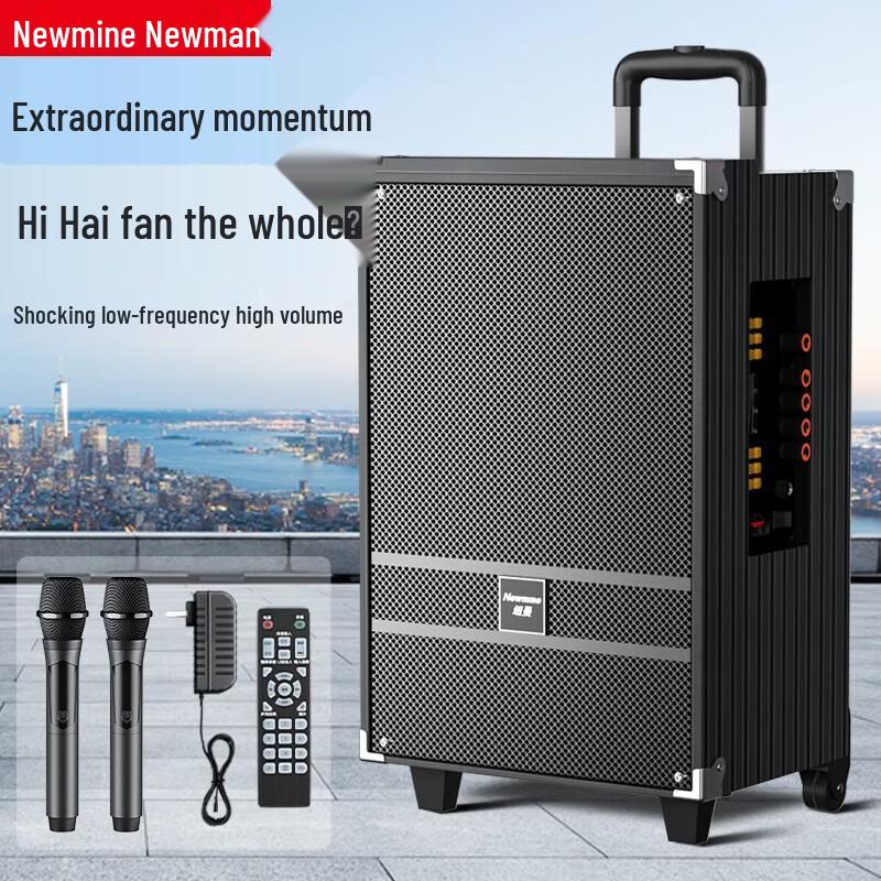 Newmine N519 12-inch Portable Bluetooth Trolley Speaker with Dual Mics CN Plug (adapter Included) (CN Version)
