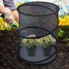 Plant Netting Cover 4X Pop Up Net Plant Covers Breathable Protector Foldable Enclosure With Stakes For Garden Trees Blueberry
