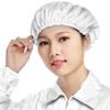Anti-static Dust-Free Work Hat