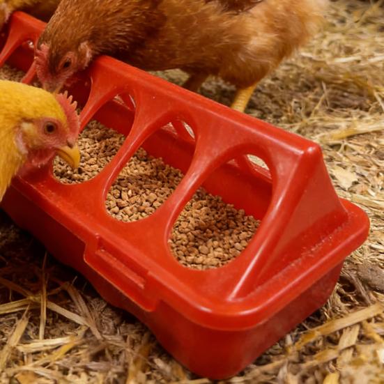 Chick Feeder 12-Hole Trough Feeder Flip-Top No Spill Poultry Feeder No-Waste Trough with Multiple Feeding Holes for Chicks Ducks Small Poultry