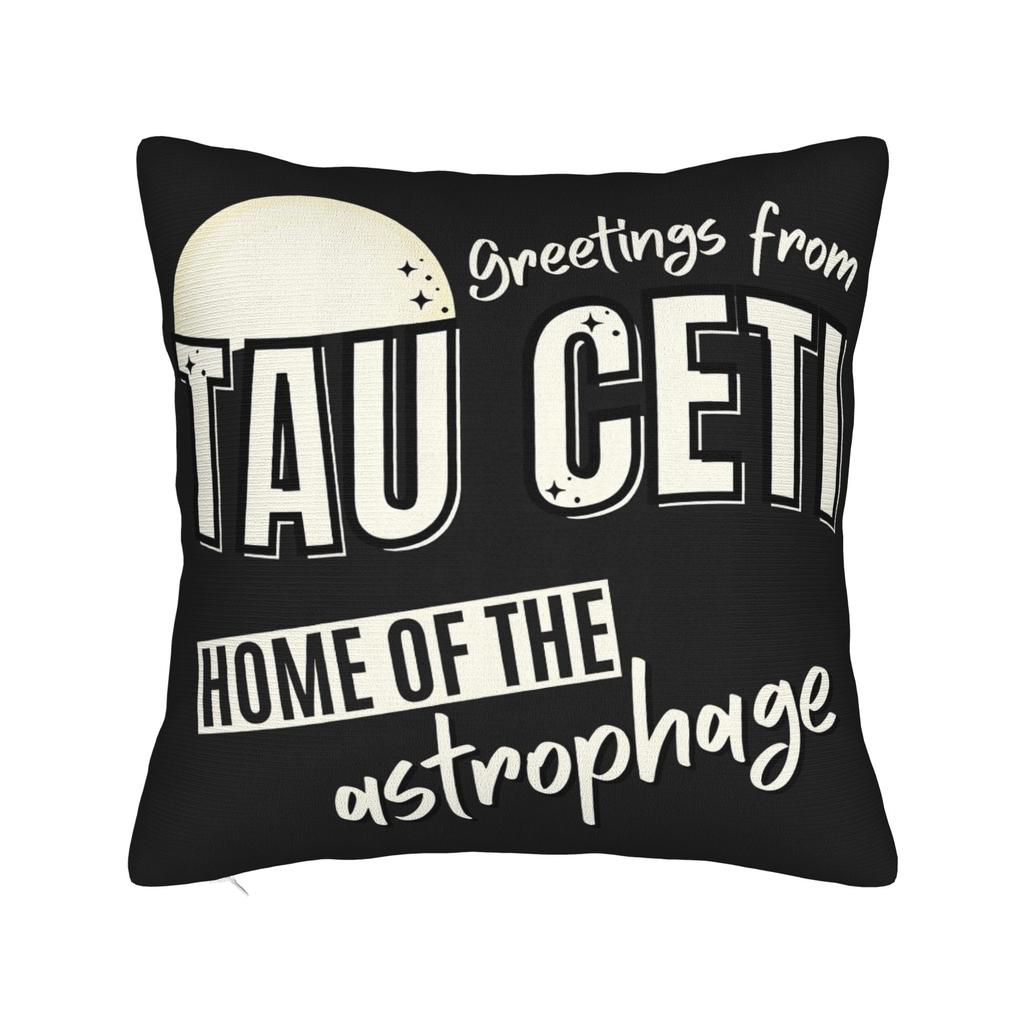 Project Tau Ceti Pillow Case Cute Funny Pillow Cover Soft Pillowcases For Living Room Bed Chair