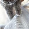 Katzenbett, Haustier-Hängematte, Katzenschlafbett, atmungsaktiv, kühlendes Kinderbett, Sofa, Haustier-Hängematte
