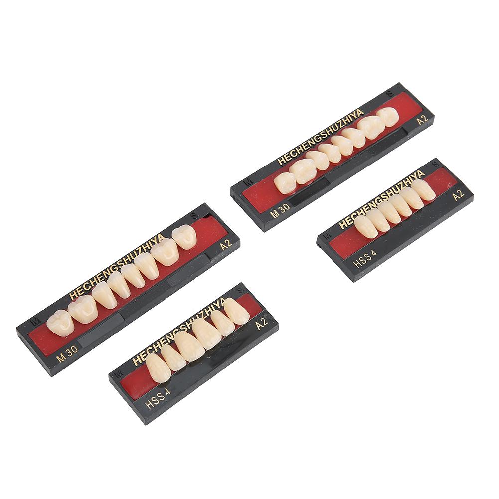 Dental Material Synthetic Resin False Teeth Filling Denture Tooth Care Tool