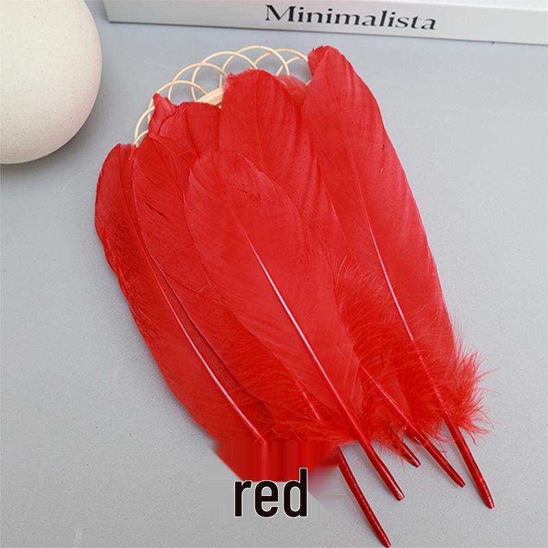 Barevná barvená velká husí pera pro DIY řemesla, ručně vyráběné dekorace a projekty pro mateřské školy