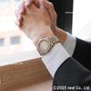 Seiko Presage Automatic Mechanical Classic Series SARX131 Men's Watch,