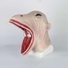 Halloween Horror Latex Mask Cosplay Adam Barbara Party Costume Adults