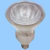 Becuri electrice – Lămpi cu halogen