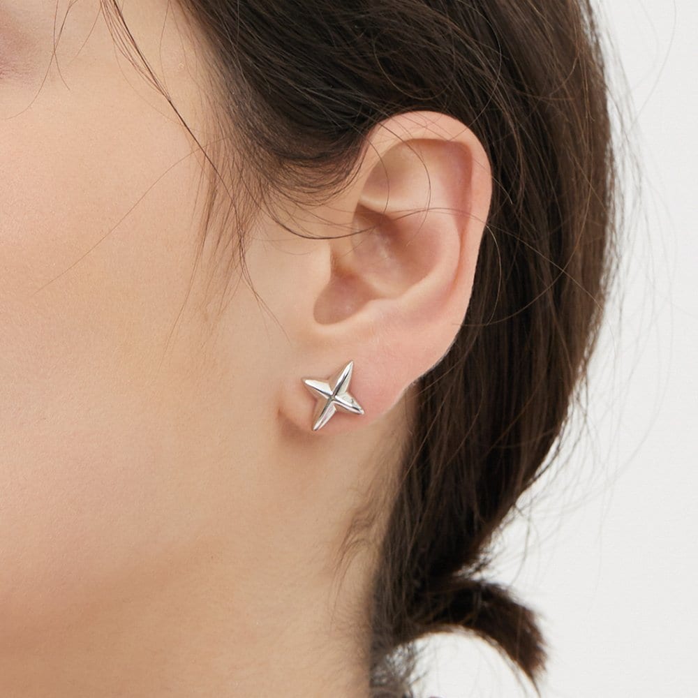 Nova Silver (W) Earrings M Hl1E53117W9Xxx