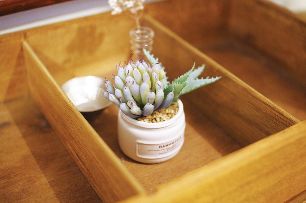 Kishima Eclea Deodorizing Artificial H10 Green, Green, Size Approx. W23.5 D7.5 Cm, KH-61189